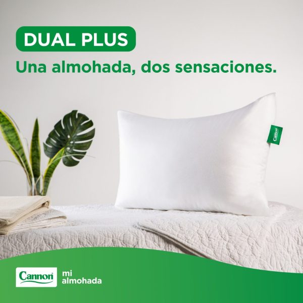 Dual-plus-1536x1536